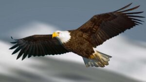 20 datos y curiosidades sobre las águilas